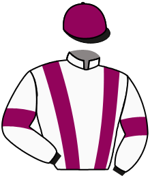 Casaque de MAESTRANTE