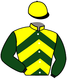 Casaque de ICE CRACKER