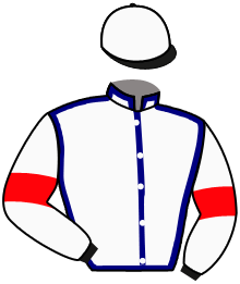 Casaque de SPRINGSTEEL