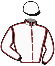 Casaque de HONEY KING