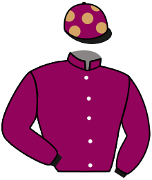 Casaque de CHATAIGNE