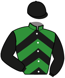 Casaque de HEROS NUEVO