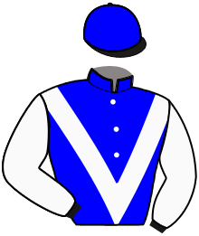 Casaque de LEADER DE LA COTE