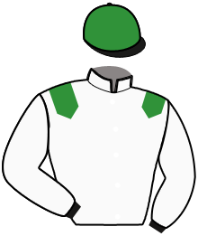 Casaque de MEGABUCKS