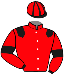 Casaque de LADY DU CHATELET