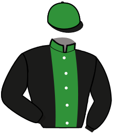 Casaque de IDEAL GREEN