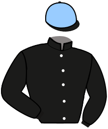 Casaque de LOGANE DU VIVIER