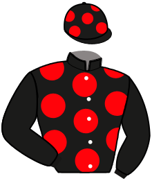 Casaque de HAMAYA VICI