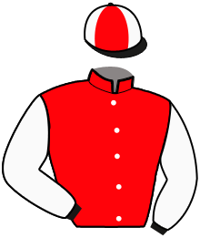 Casaque de HAPPY HERO