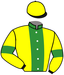 Casaque de STAR FLYING