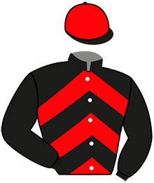 Casaque de L'AUDACIEUX