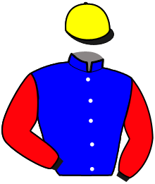 Casaque de HIMEROS DU DOLLAR