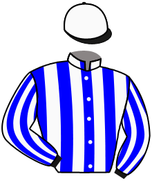 Casaque de QUICK FLASH