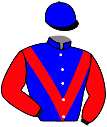 Casaque de WAIT THE STORM