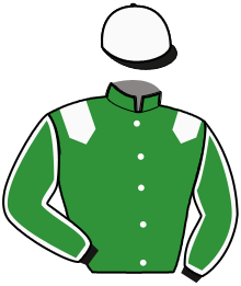 Casaque de HELIOS DES LANDES