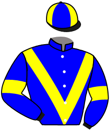 Casaque de ART SHADOW