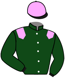 Casaque de UPBEAT SPIRIT