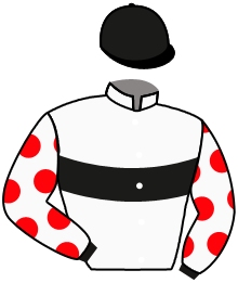 Casaque de GOLDEN KNIGHT