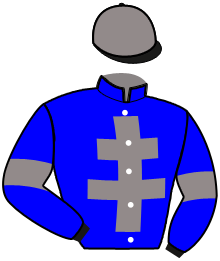 Casaque de JESS D'ANARDEL