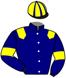 Casaque de MISTER SALTOR