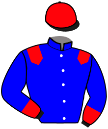 Casaque de ICARINO DU CHOQUEL