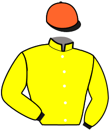 Casaque de HELIOS SI