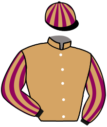 Casaque de EXCELSIOR