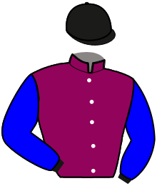 Casaque de JANGO DU HOULEY