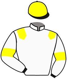 Casaque de TENNESSEE JOHN