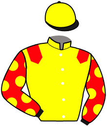 Casaque de JOY DU CARNOIS