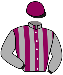 Casaque de FAUCON MILLENIUM