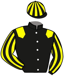 Casaque de FIRST DE BRETAGNE