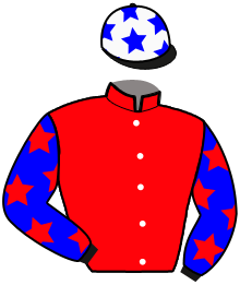 Casaque de LOUSTIC DE CLECY