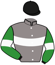 Casaque de L'ABEILLE DU DOME