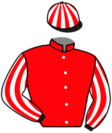 Casaque de MAJOR NEIGH SAYER