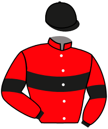 Casaque de LES DIGGERS