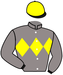 Casaque de GOLDEN VALE