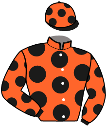 Casaque de LE PRINCE