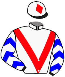 Casaque de ULTRASOUND