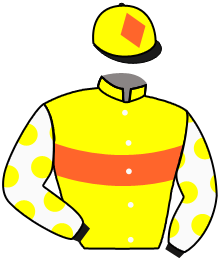 Casaque de TONERRE DU TEMPS