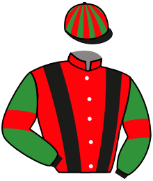 Casaque de YELLOW SAMBA