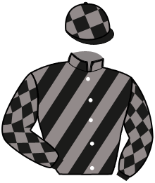 Casaque de MYSTERE DU VAUTOUR