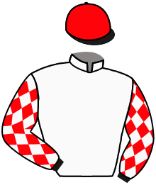 Casaque de SEA THE AURORA