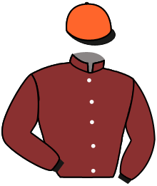 Casaque de DUC DE ROCHE