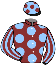 Casaque de GOLIATH D'AUNOU