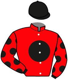 Casaque de HE'S ON FIRE