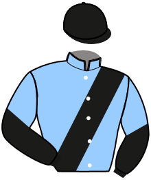 Casaque de MEAULNES DU BRAY