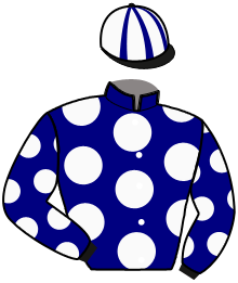 Casaque de HOLYFIELD SPORT