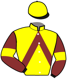 Casaque de INVICTUS ELLIS