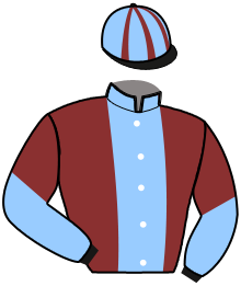 Casaque de MILLIONS CYJUS